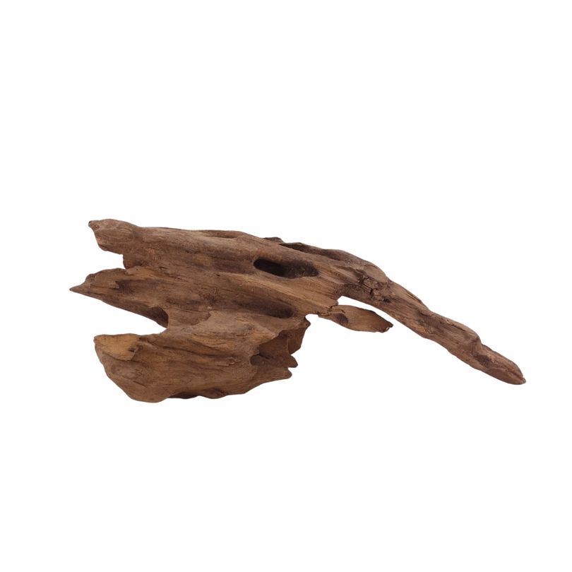 M Honey Comb Wurzel Nr.2968 Holz Deko Aquascaping