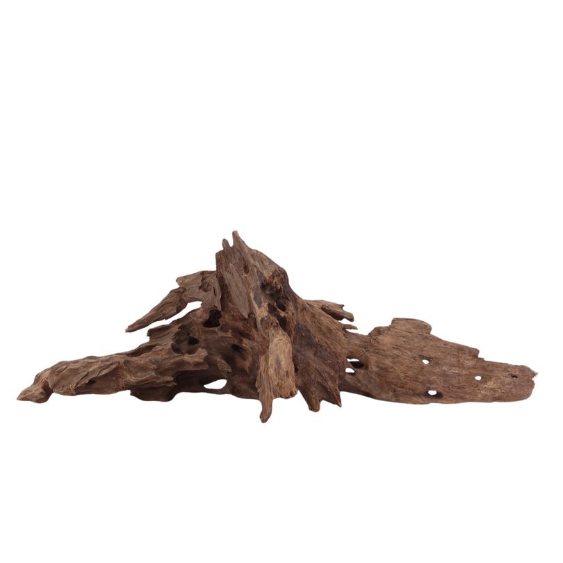 M Honey Comb Wurzel Nr.2970 Holz Deko Aquascaping