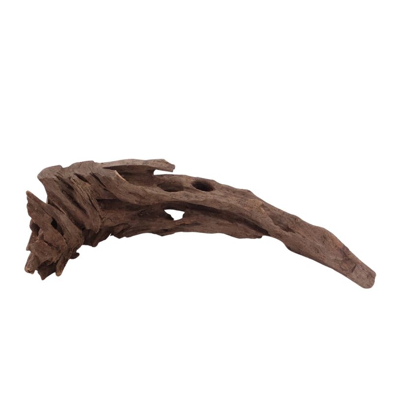 M Honey Comb Wurzel Nr.2973 Holz Deko Aquascaping