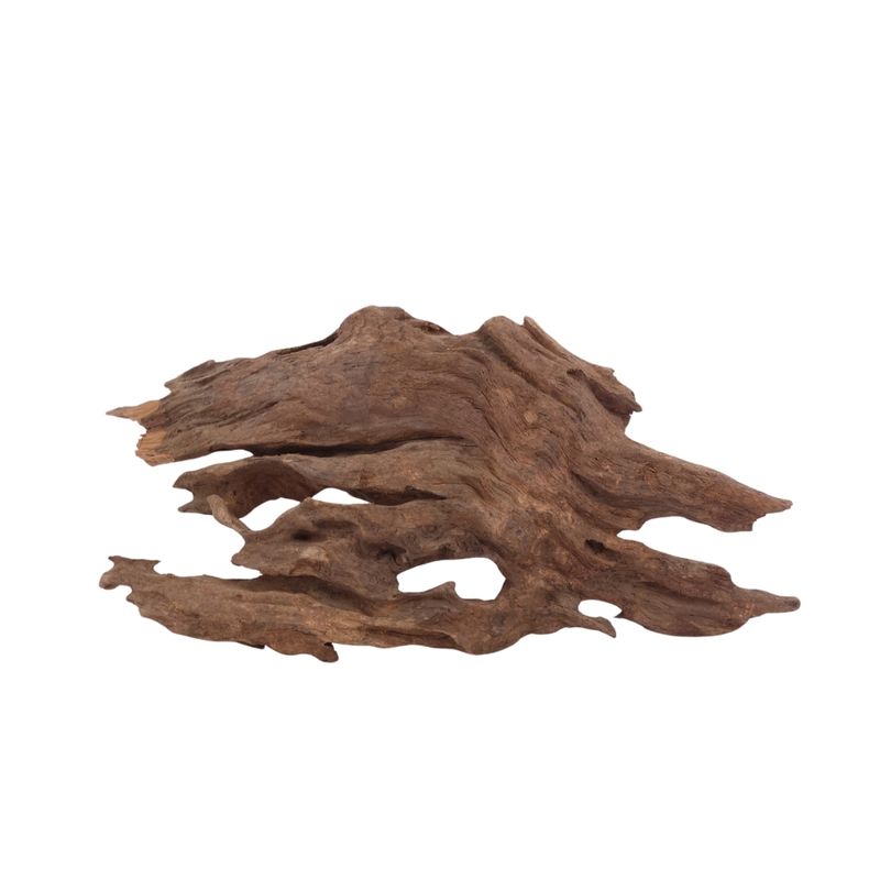 M Honey Comb Wurzel Nr.2974 Holz Deko Aquascaping