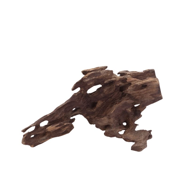 M Honey Comb Wurzel Nr.2976 Holz Deko Aquascaping