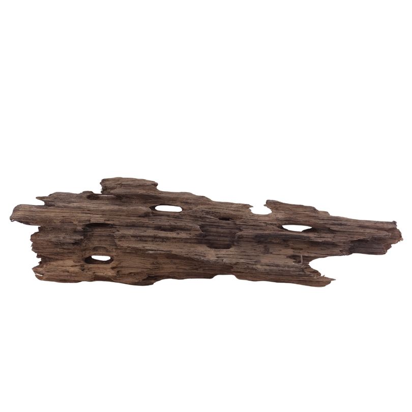 L Honey Comb Wurzel Nr.2979 Holz Deko Aquascaping