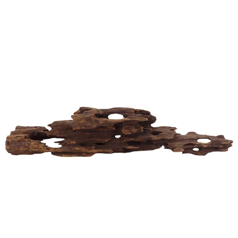 L Honey Comb Wurzel Nr.2980 Holz Deko Aquascaping