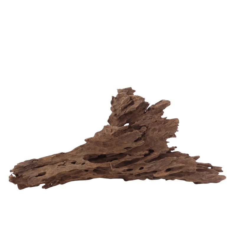 L Honey Comb Wurzel Nr.2984 Holz Deko Aquascaping