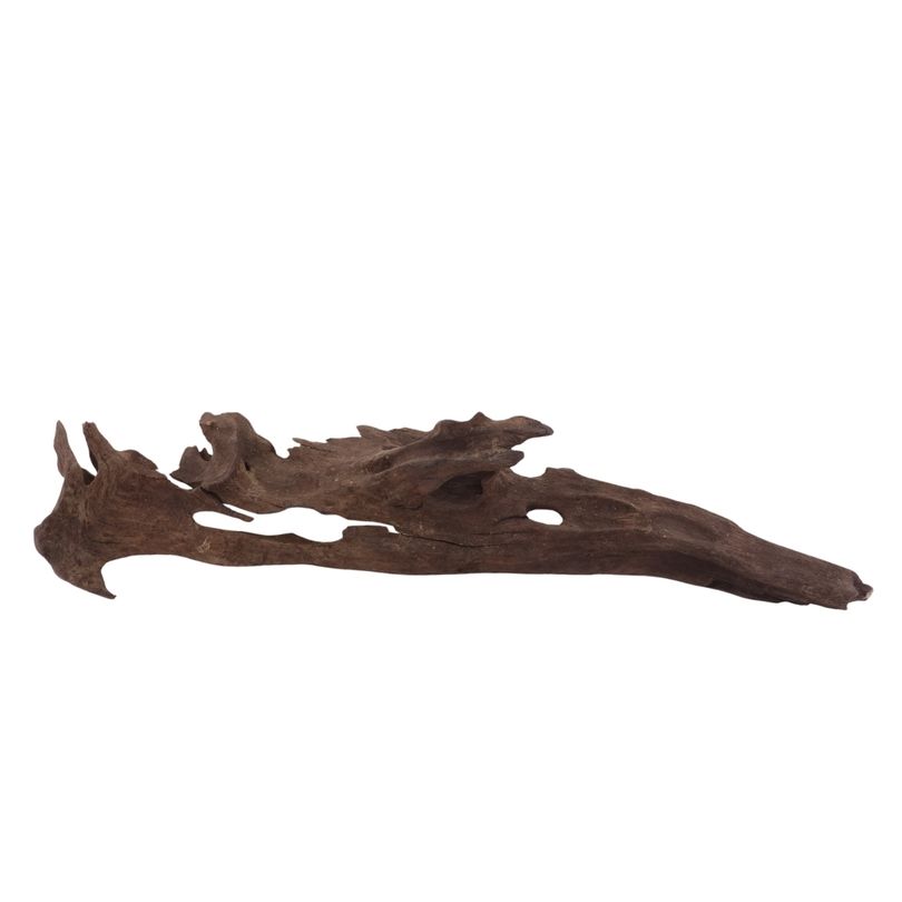 L Honey Comb Wurzel Nr.2986 Holz Deko Aquascaping