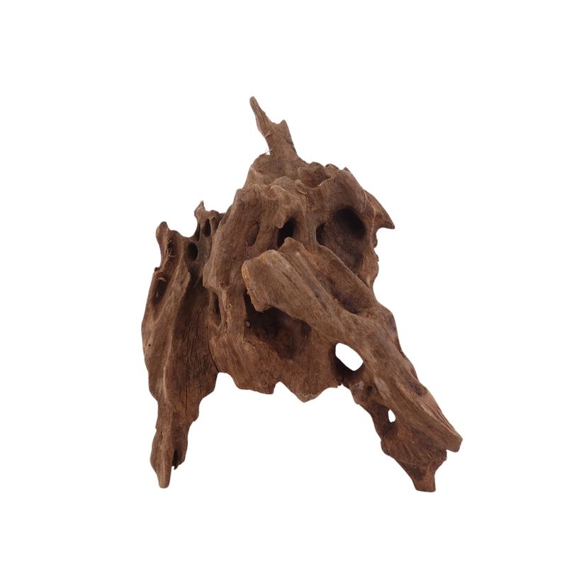 L Honey Comb Wurzel Nr.2988 Holz Deko Aquascaping