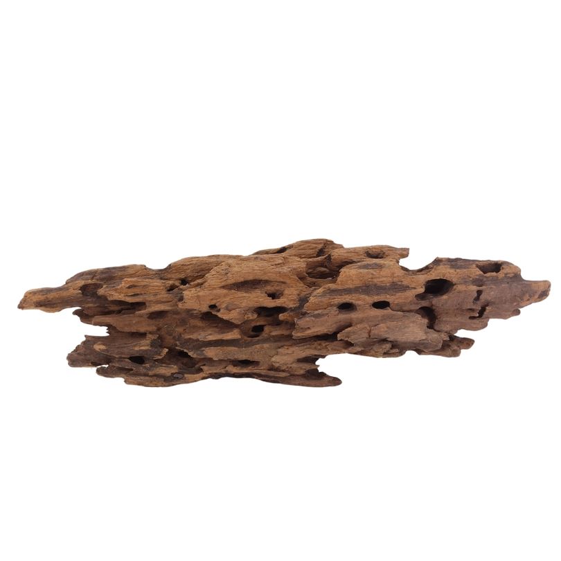 L Honey Comb Wurzel Nr.2989 Holz Deko Aquascaping