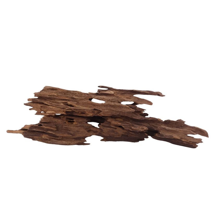 L Honey Comb Wurzel Nr.2992 Holz Deko Aquascaping