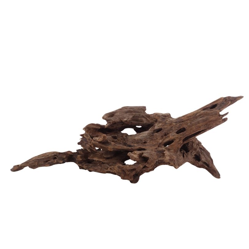 L Honey Comb Wurzel Nr.2995 Holz Deko Aquascaping