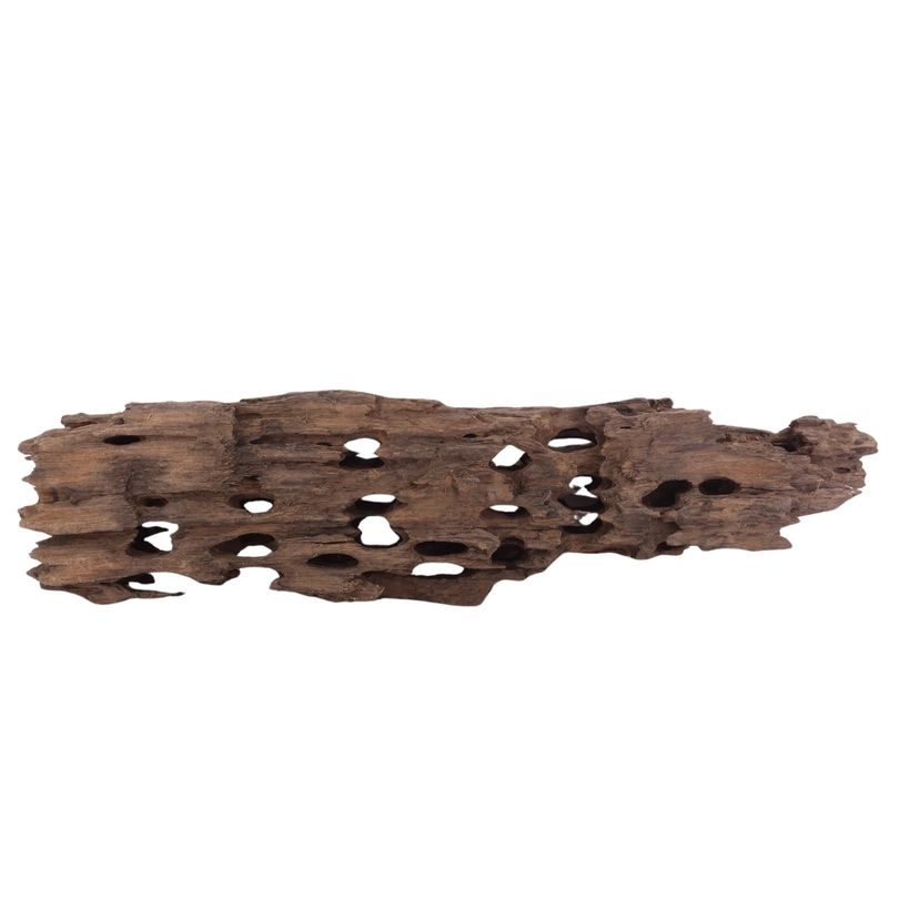 L Honey Comb Wurzel Nr.2996 Holz Deko Aquascaping