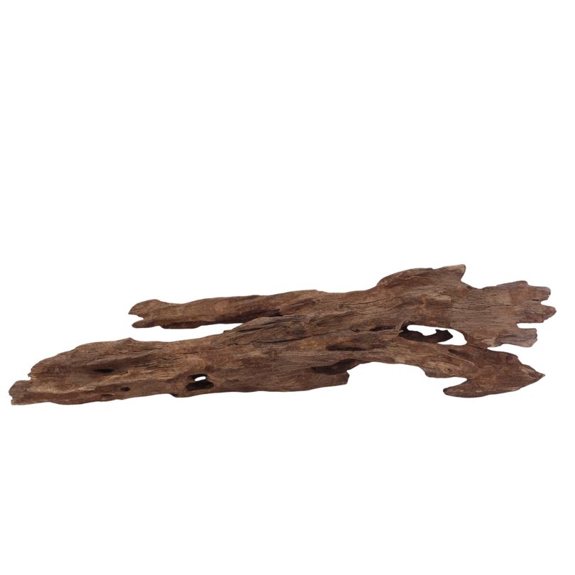 L Honey Comb Wurzel Nr.3004 Holz Deko Aquascaping