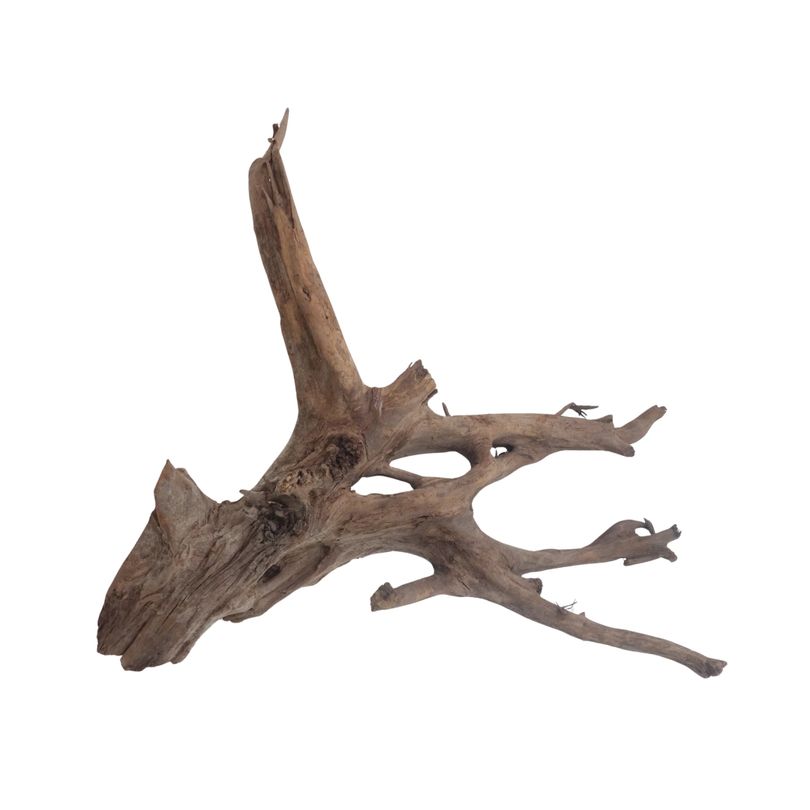 XL Mangrovenwurzel Nr.3061 Holz Deko Aquascaping