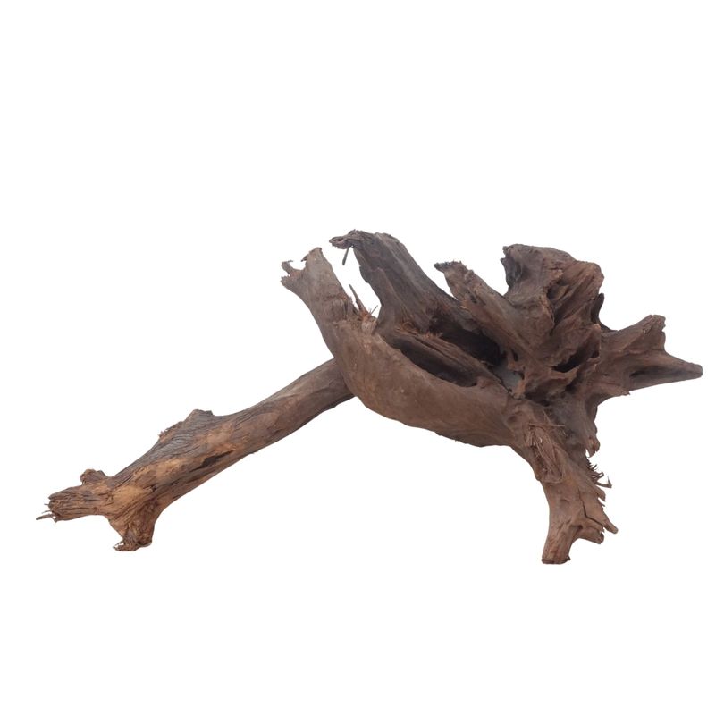 XL Mangrovenwurzel Nr.3067 Holz Deko Aquascaping