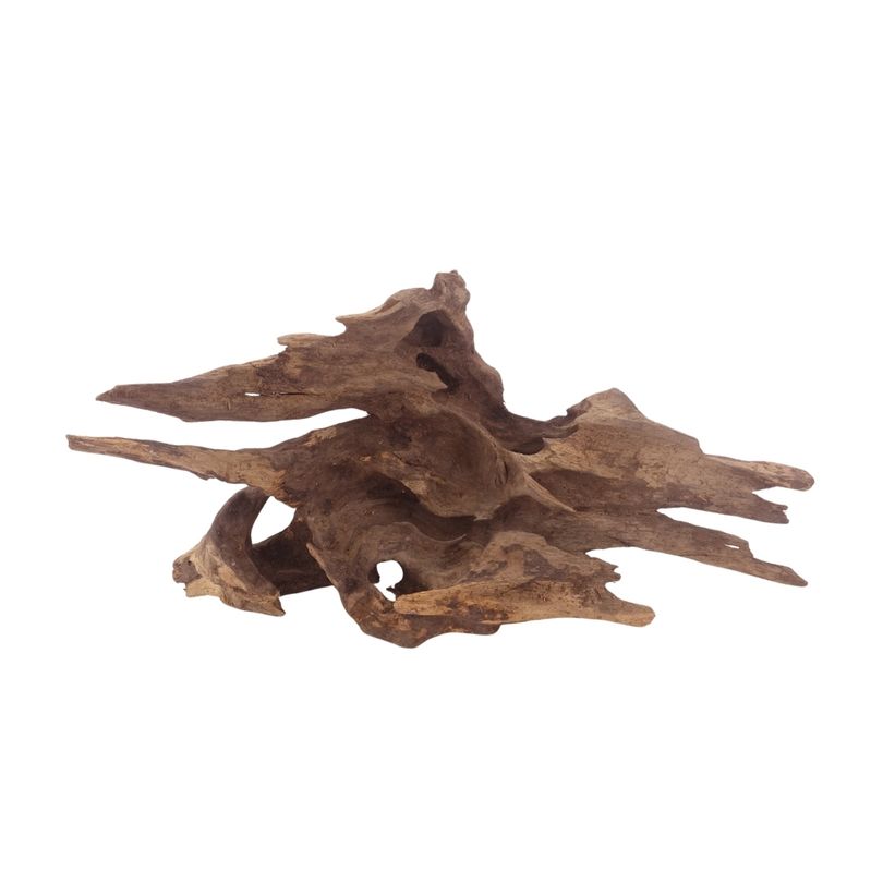 L Honey Comb Wurzel Nr.3019 Holz Deko Aquascaping