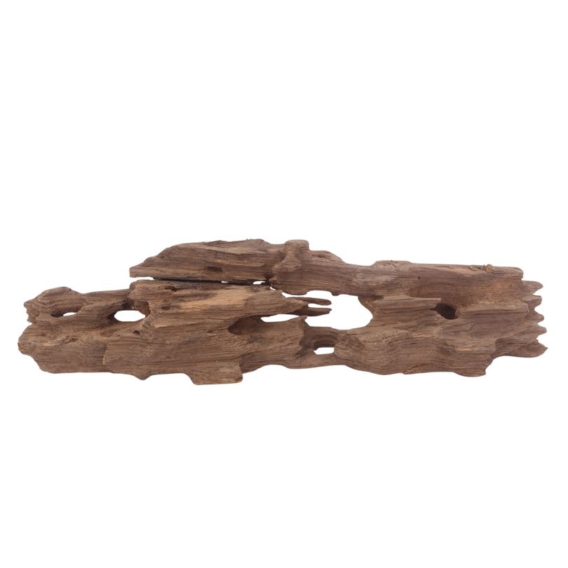 L Honey Comb Wurzel Nr.3021 Holz Deko Aquascaping