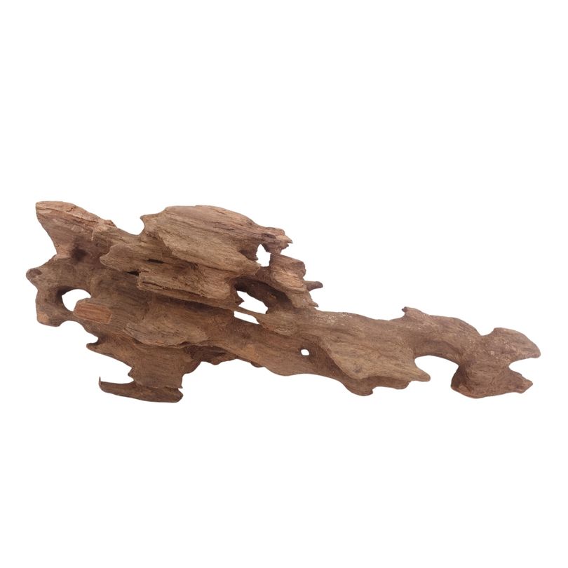 L Honey Comb Wurzel Nr.3027 Holz Deko Aquascaping