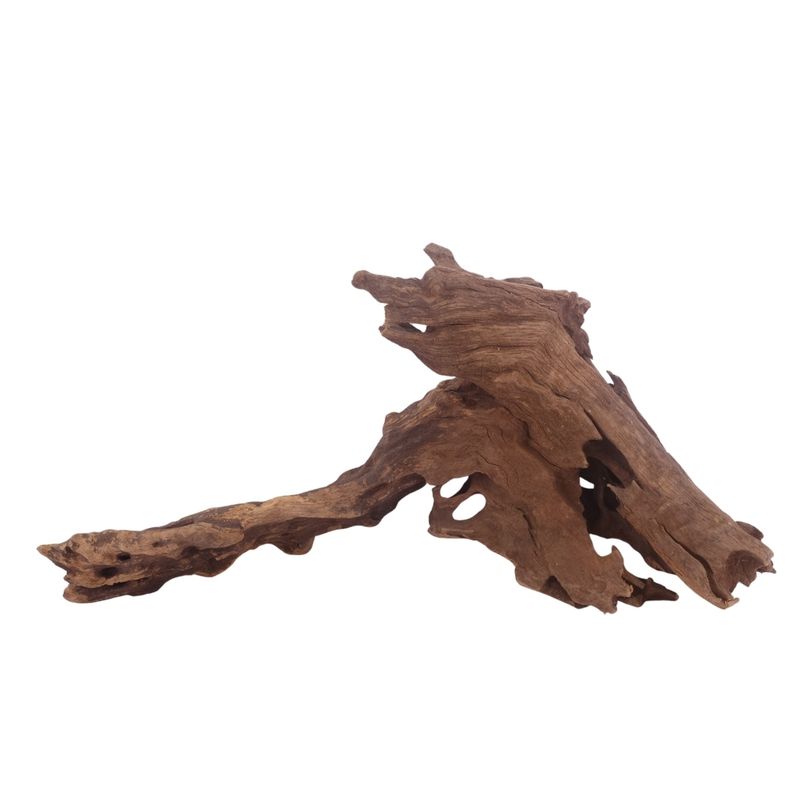 L Honey Comb Wurzel Nr.3030 Holz Deko Aquascaping