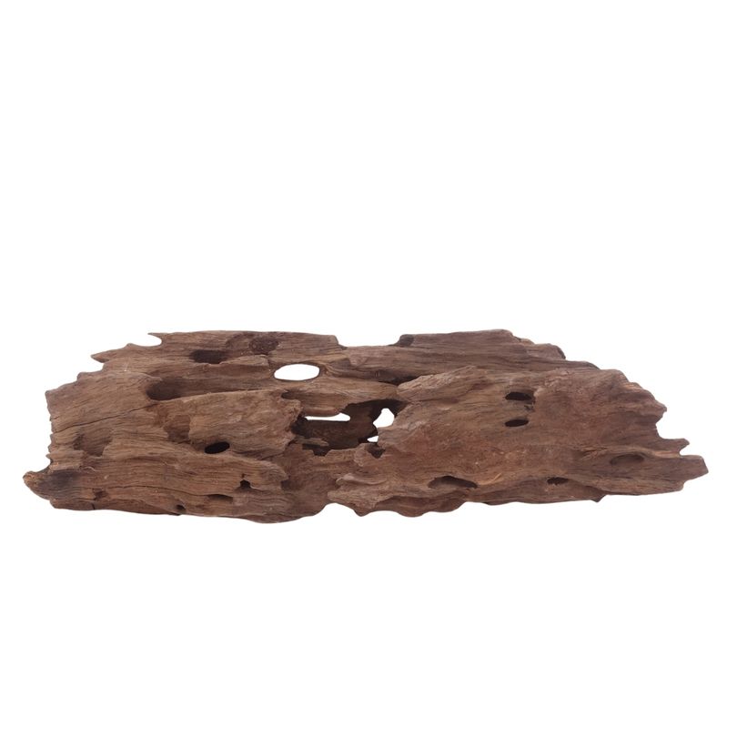 L Honey Comb Wurzel Nr.3035 Holz Deko Aquascaping