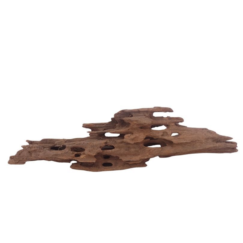 L Honey Comb Wurzel Nr.3036 Holz Deko Aquascaping