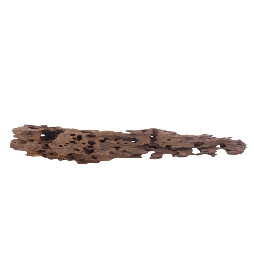 XL Honey Comb Wurzel Nr.3040 Holz Deko Aquascaping