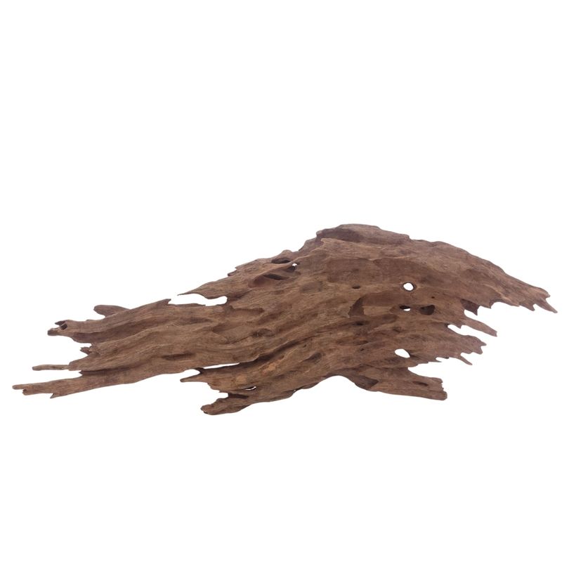 XL Honey Comb Wurzel Nr.3044 Holz Deko Aquascaping