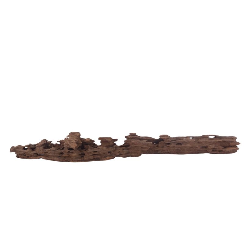 XL Honey Comb Wurzel Nr.3054 Holz Deko Aquascaping