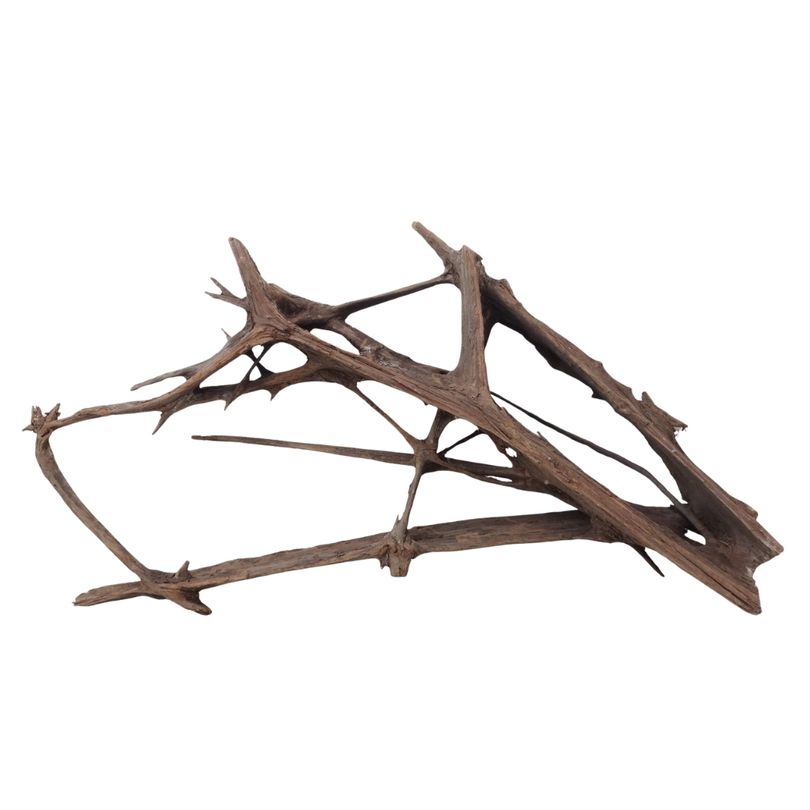 XXL Mangrovenwurzel Nr.3008 Holz Deko Aquascaping