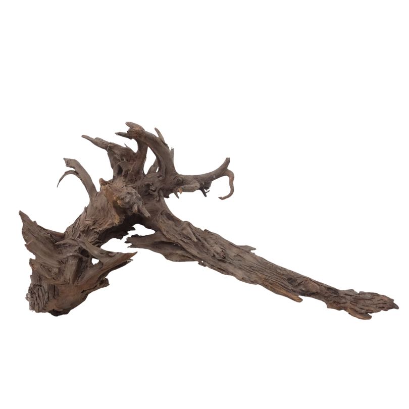 XXL Mangrovenwurzel Nr.3009 Holz Deko Aquascaping