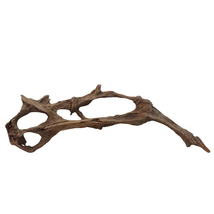XXL Mangrovenwurzel Nr.3013 Holz Deko Aquascaping