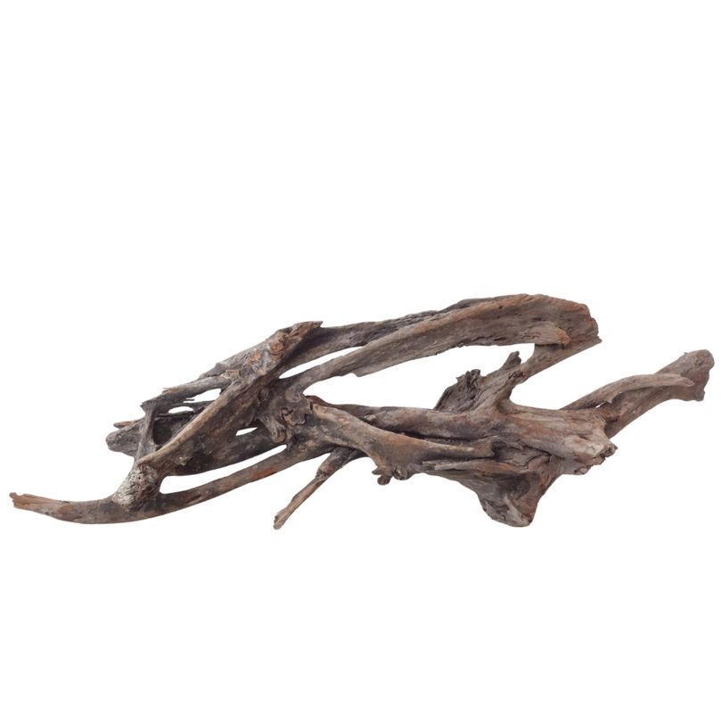 XXL Mangrovenwurzel Nr.3017 Holz Deko Aquascaping