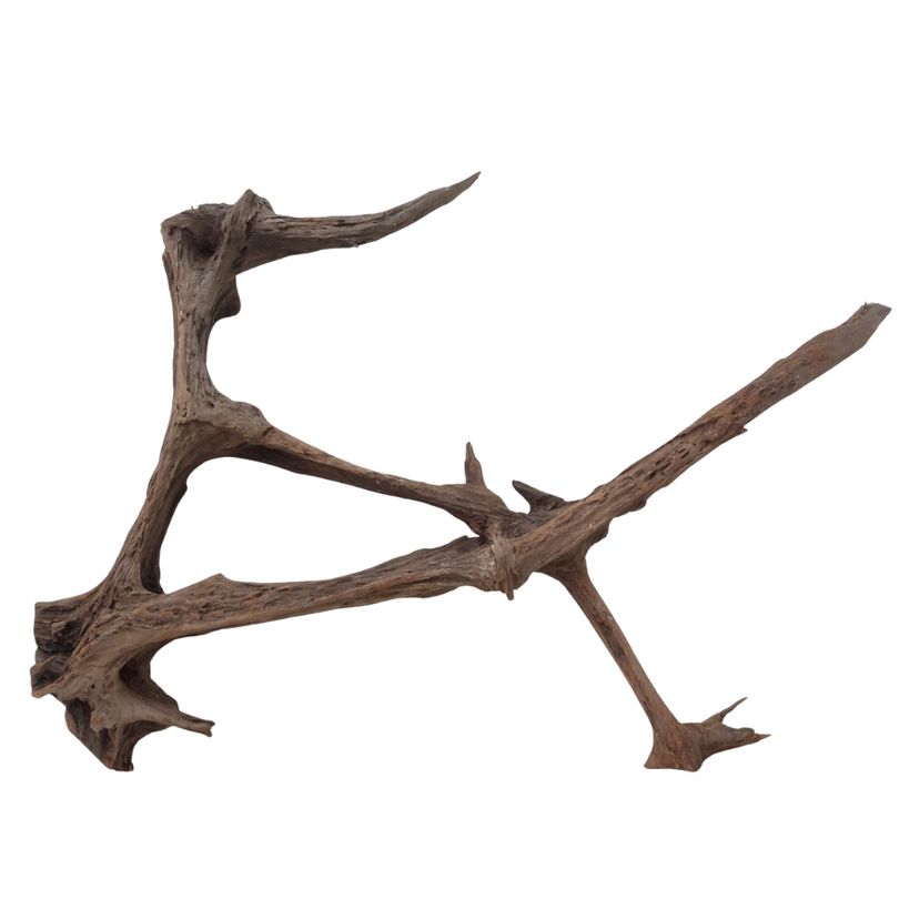 XXL Mangrovenwurzel Nr.3018 Holz Deko Aquascaping