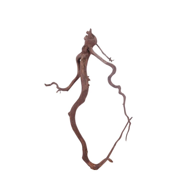 M Red Spider Wurzel Nr.3076 Fingerwurzel Echtholz Deko Aquascaping