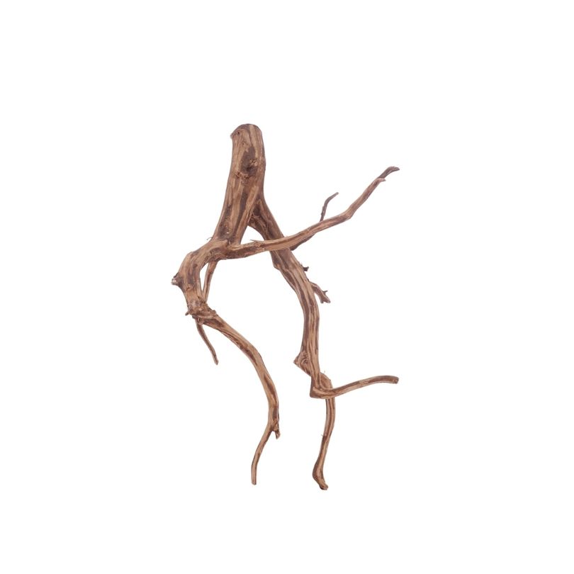 M Red Spider Wurzel Nr.3083 Fingerwurzel Echtholz Deko Aquascaping