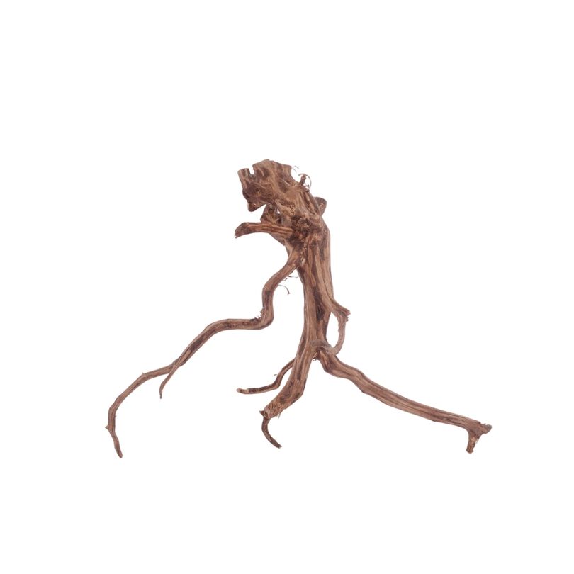 M Red Spider Wurzel Nr.3084 Fingerwurzel Echtholz Deko Aquascaping