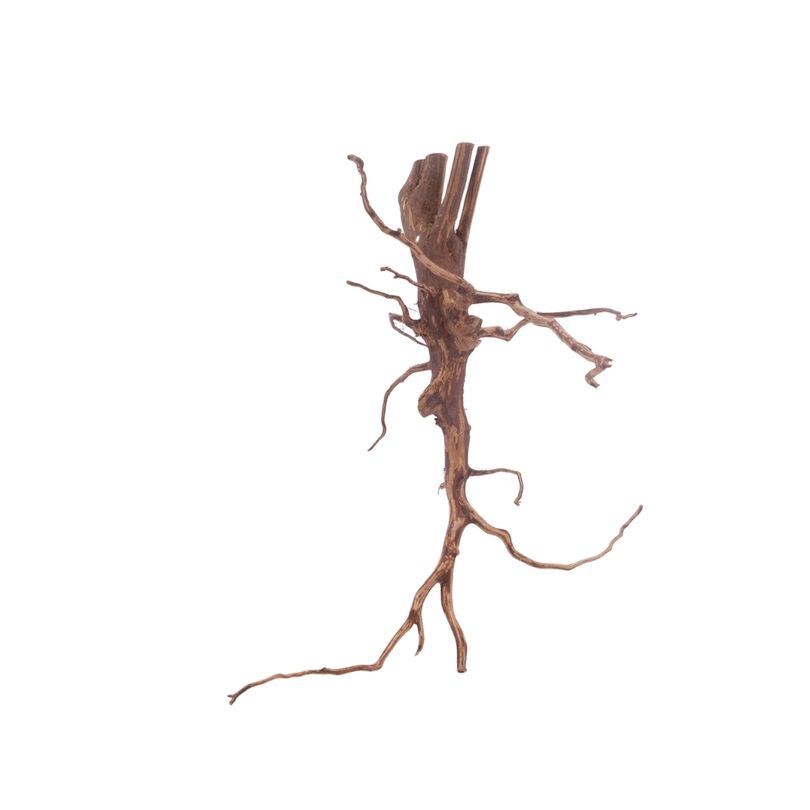 M Red Spider Wurzel Nr.3090 Fingerwurzel Echtholz Deko Aquascaping