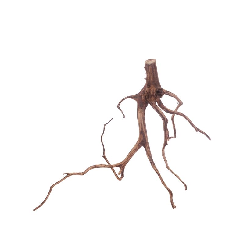 M Red Spider Wurzel Nr.3092 Fingerwurzel Echtholz Deko Aquascaping