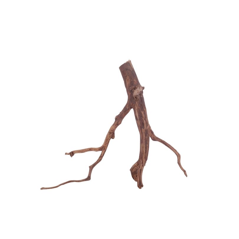 M Red Spider Wurzel Nr.3097 Fingerwurzel Echtholz Deko Aquascaping