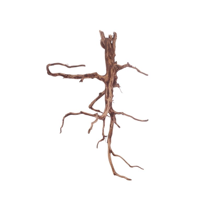 M Red Spider Wurzel Nr.3098 Fingerwurzel Echtholz Deko Aquascaping