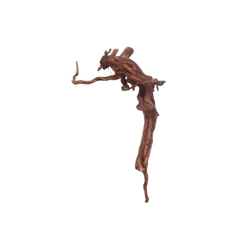 M Red Spider Wurzel Nr.3141 Fingerwurzel Echtholz Deko Aquascaping