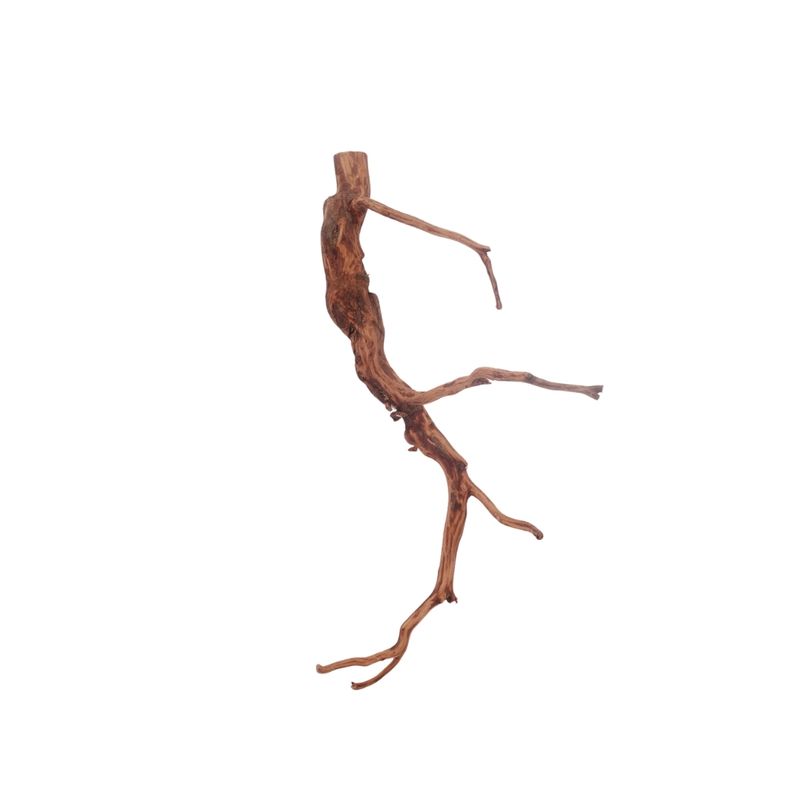 M Red Spider Wurzel Nr.3142 Fingerwurzel Echtholz Deko Aquascaping