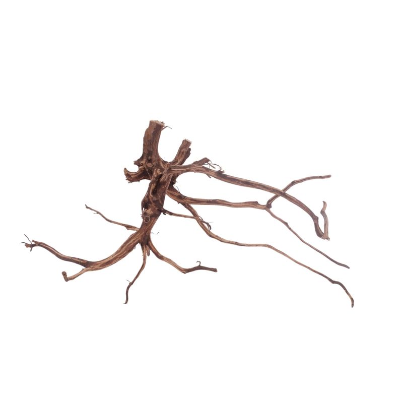 L Red Spider Wurzel Nr.3102 Fingerwurzel Echtholz Deko Aquascaping