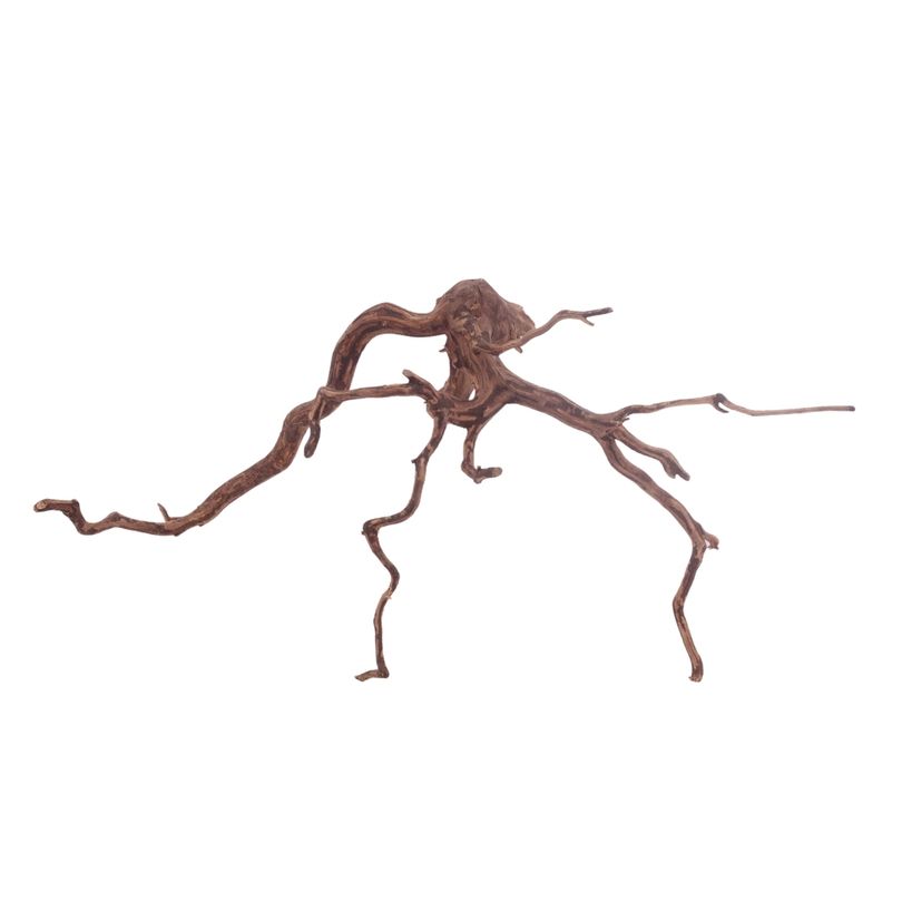 L Red Spider Wurzel Nr.3103 Fingerwurzel Echtholz Deko Aquascaping