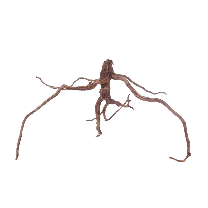 L Red Spider Wurzel Nr.3104 Fingerwurzel Echtholz Deko Aquascaping