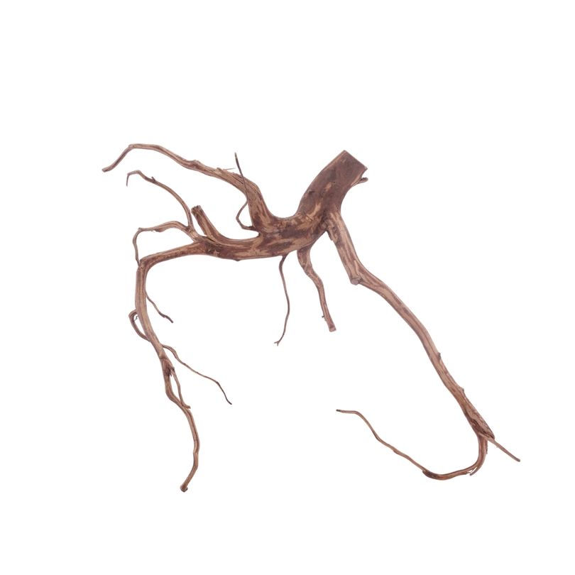 L Red Spider Wurzel Nr.3105 Fingerwurzel Echtholz Deko Aquascaping