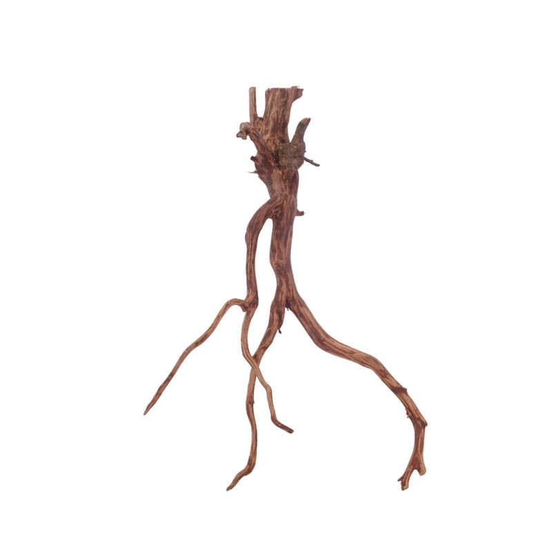 L Red Spider Wurzel Nr.3108 Fingerwurzel Echtholz Deko Aquascaping