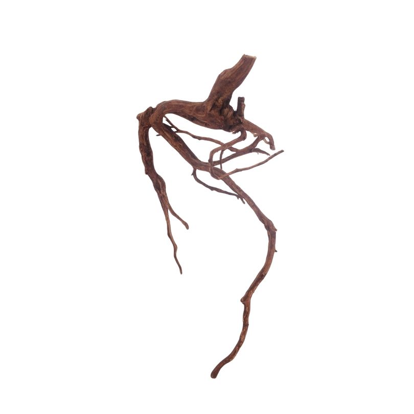 L Red Spider Wurzel Nr.3109 Fingerwurzel Echtholz Deko Aquascaping