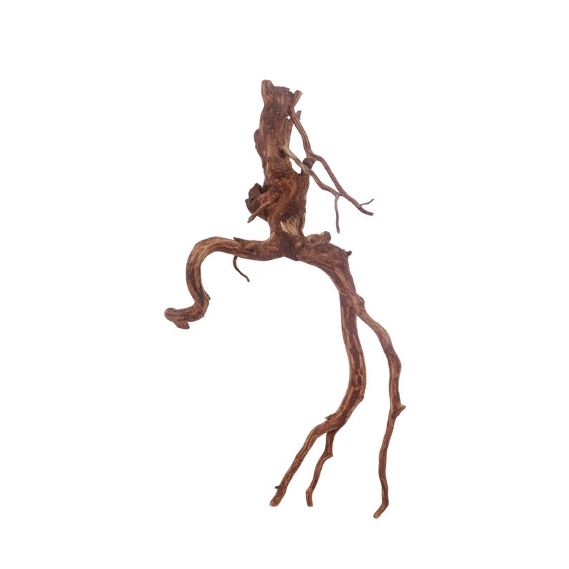 L Red Spider Wurzel Nr.3113 Fingerwurzel Echtholz Deko Aquascaping