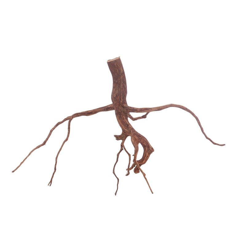L Red Spider Wurzel Nr.3114 Fingerwurzel Echtholz Deko Aquascaping