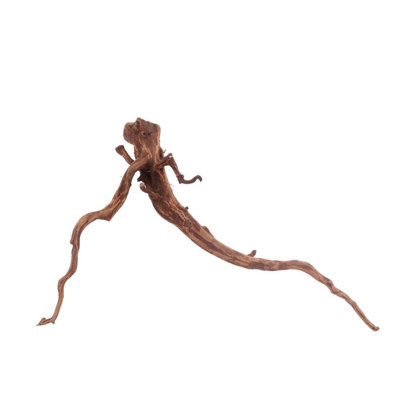 L Red Spider Wurzel Nr.3115 Fingerwurzel Echtholz Deko Aquascaping