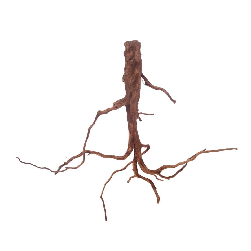 L Red Spider Wurzel Nr.3116 Fingerwurzel Echtholz Deko Aquascaping